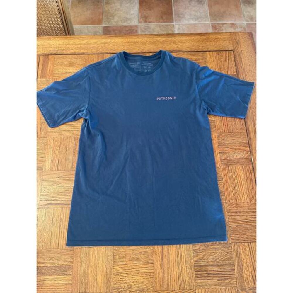 Patagonia graphic Tee Men’s Small